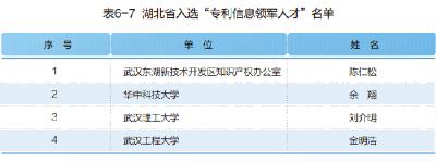 湖北省入选“专利信息领军人才”名单