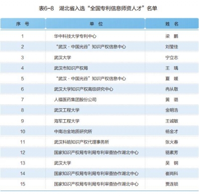 湖北省入选“全国专利信息师资人才”名单