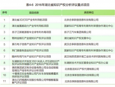 2016年湖北省知识产权分析评议重点项目