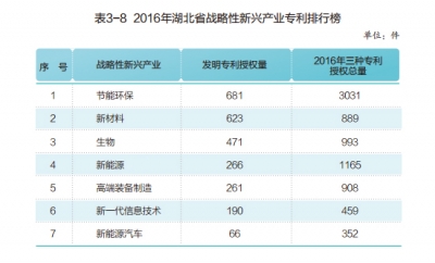 2016年湖北省战略性新兴产业专利排行榜