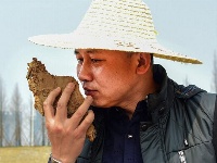 武汉：“民间湖长”护湖忙