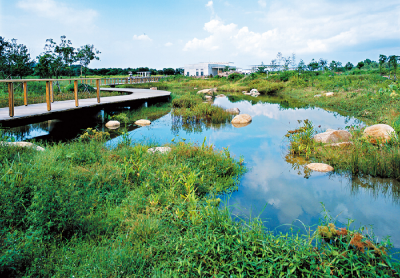 长江湿地保护联盟在汉启动