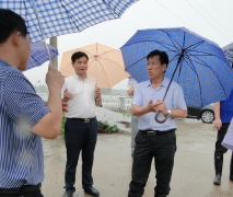 湖北省农业厅副厅长张桂华赴咸宁市指导抗灾救灾工作