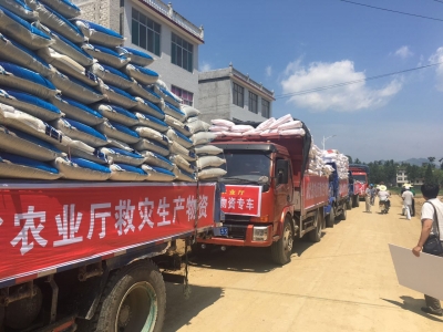湖北省农业厅200多万的救灾生产物资今天上午送抵灾区