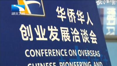 李鸿忠王国生会见 海外专家咨询委员考察团及华创会重要嘉宾