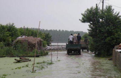 遭历史最大洪灾 武汉蔡甸消泗乡是怎样保住的？