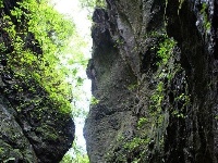 南漳藏了一条神奇的翡翠峡谷