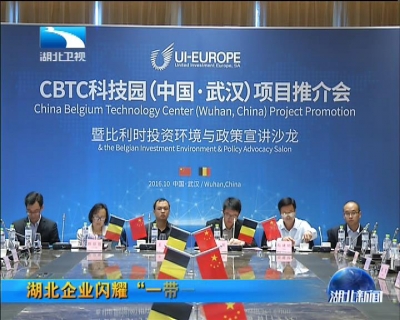 湖北企业闪耀“一带一路” 中比科技园来鄂推介投资环境
