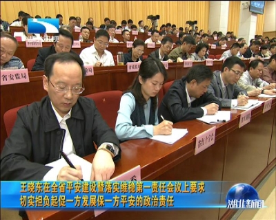 王晓东：促一方发展 保一方平安
