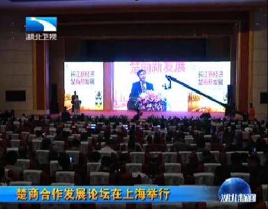 楚商合作发展论坛在上海举行