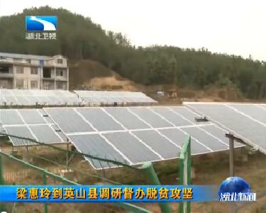 梁惠玲到英山县调研督办脱贫攻坚