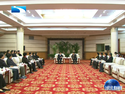 任振鹤会见外交部驻外使节考察团