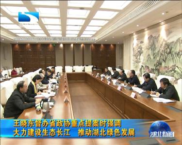 王晓东督办省政协重点提案时强调 大力建设生态长江 推动湖北绿色发展