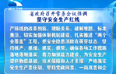 湖北省政府：坚守安全生产红线 坚持降成本增活力