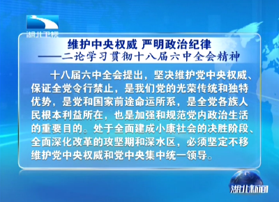 评论：维护中央权威 严明政治纪律 ——二论学习贯彻十八届六中全会精神