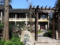 别样的乌镇 不一样的美