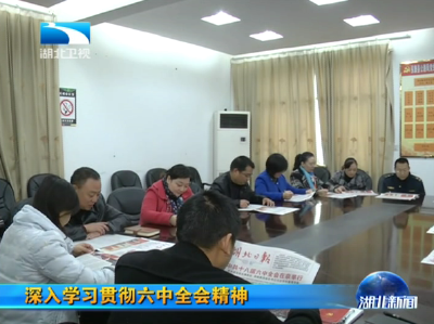 湖北广大党员干部认真学习十八届六中全会公报