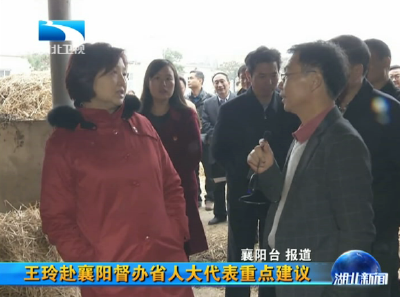 王玲赴襄阳督办省人大代表重点建议