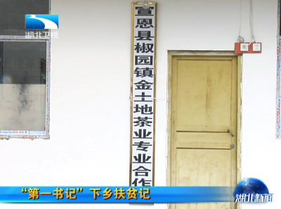 “第一书记”下乡扶贫记 郭自国：让石马村的茶叶闯海外