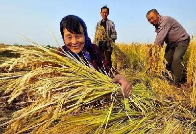重磅！继