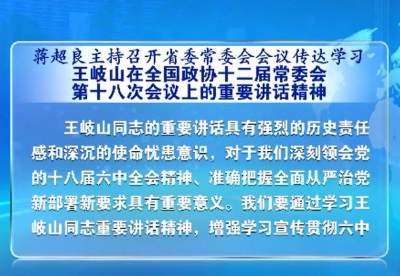 蒋超良：深入推进巡视反馈意见整改 推动湖北长江经济带绿色发展