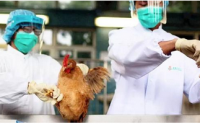 湖北省确诊2例H7N9病例 专家提醒：勿购买活禽