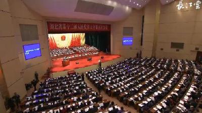 V视 | 湖北省十二届人大五次会议举行第二次全体会议
