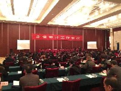 2016年湖北审计“亮剑” 查出问题金额401.81亿元