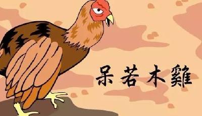 惊讶 | 谁说呆若木“鸡”？它们的智商被低估了！