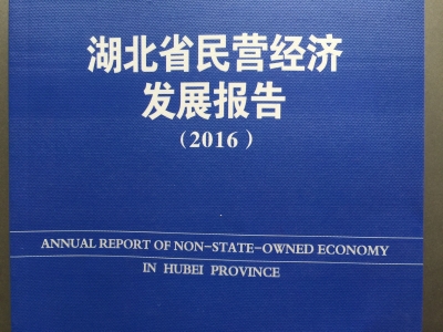 湖北省2016年民营经济发展报告出炉 增加值达17680亿元