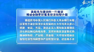 V视 | 蒋超良与潘功胜一行座谈 推动金融更好服务经济转型升级