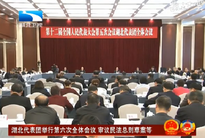 V视丨湖北代表团举行第六次全体会议 审议民法总则草案等