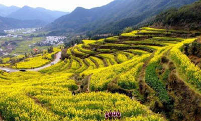 中国到2020年努力实现4A级以上景区免费WiFi全覆盖 