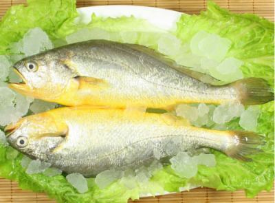 深圳一餐馆两条小黄鱼“吃”掉顾客4628元  