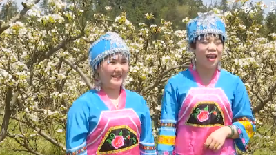 V视 | 湖北：盘活生态资源 现春色美景