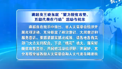 V视 | 湖北省人大常委会部署推进“聚力脱贫攻坚、五级代表在行动”活动 蒋超良、王晓东就活动开展作批示