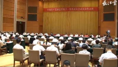 湖北省第十一次党代会主席团举行第五次会议 
