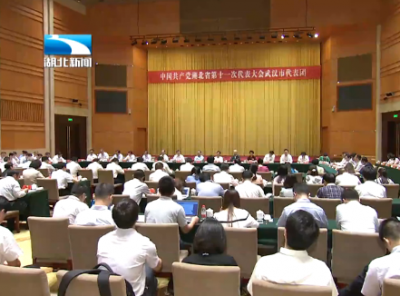 蒋超良、王晓东、陈一新等省领导在参加代表团审议时，提出了这些重点！