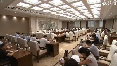 V视 | 王晓东参加湖北省政府办公厅主题党日活动时提出 争做学习贯彻落实党代会精神的表率