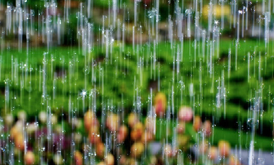 等了那么久降温的气息终于来了 未来三日阵雨光临