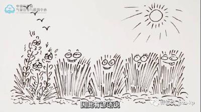【创意动画】小暑时节，气温为啥节节高？