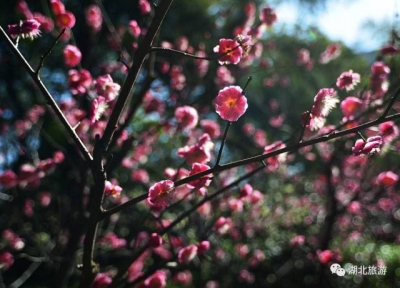 惊呆！《桃花源记》的原型地竟藏在湖北此地……