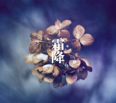 23日13时27分迎来“霜降”节气：菊红叶落秋见霜
