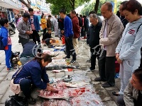 丹江口大坝泄洪 市民争相捕鱼