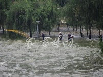 丹江口大坝泄洪 市民争相捕鱼