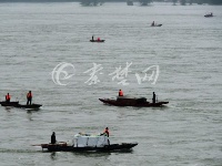 丹江口大坝泄洪 市民争相捕鱼