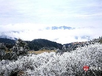 神农架现罕见冰挂景观 