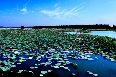 湖北湿地保护体系初步形成 国际重要湿地3个 居中部第一