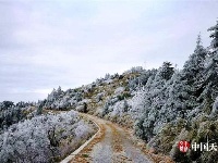 神农架现罕见冰挂景观 