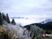 神农架现罕见冰挂景观 